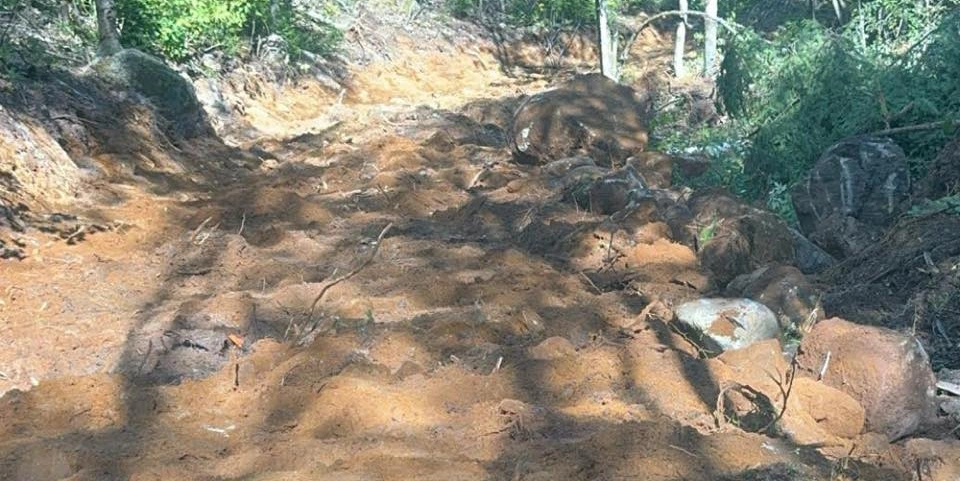 déboisement fait par groupe duhamel