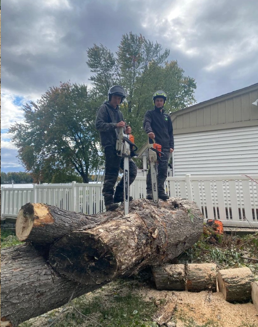 Image d'arboriculteur réalisé par groupe duhamel