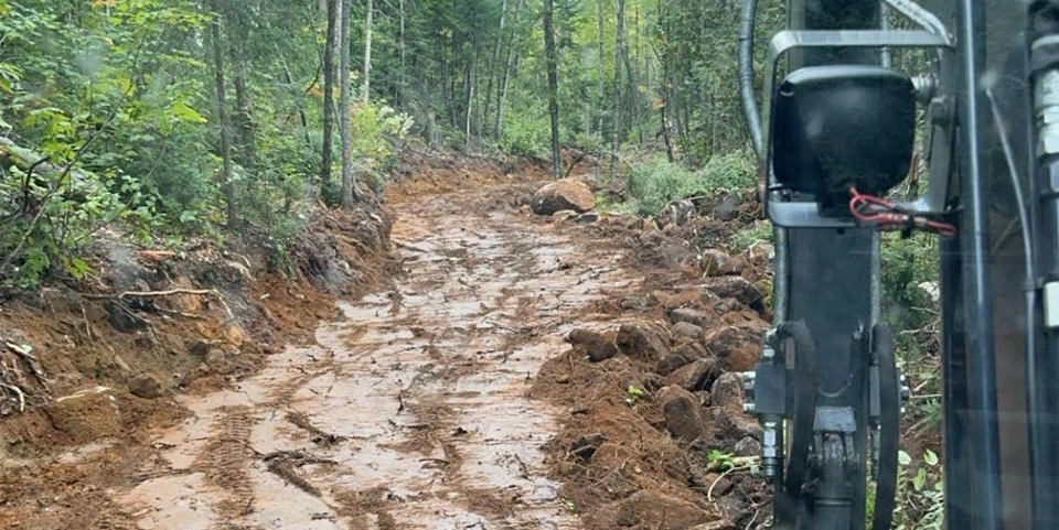 déboisement fait par groupe duhamel