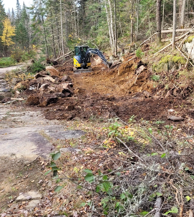 Image d'un déboisement fait par le groupe duhamel